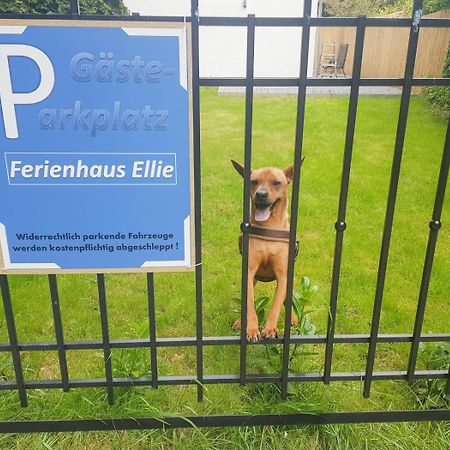 Ferienhaus Ellie 하프크루그 외부 사진