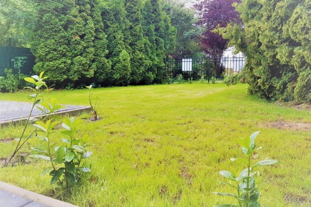 Ferienhaus Ellie 하프크루그 외부 사진