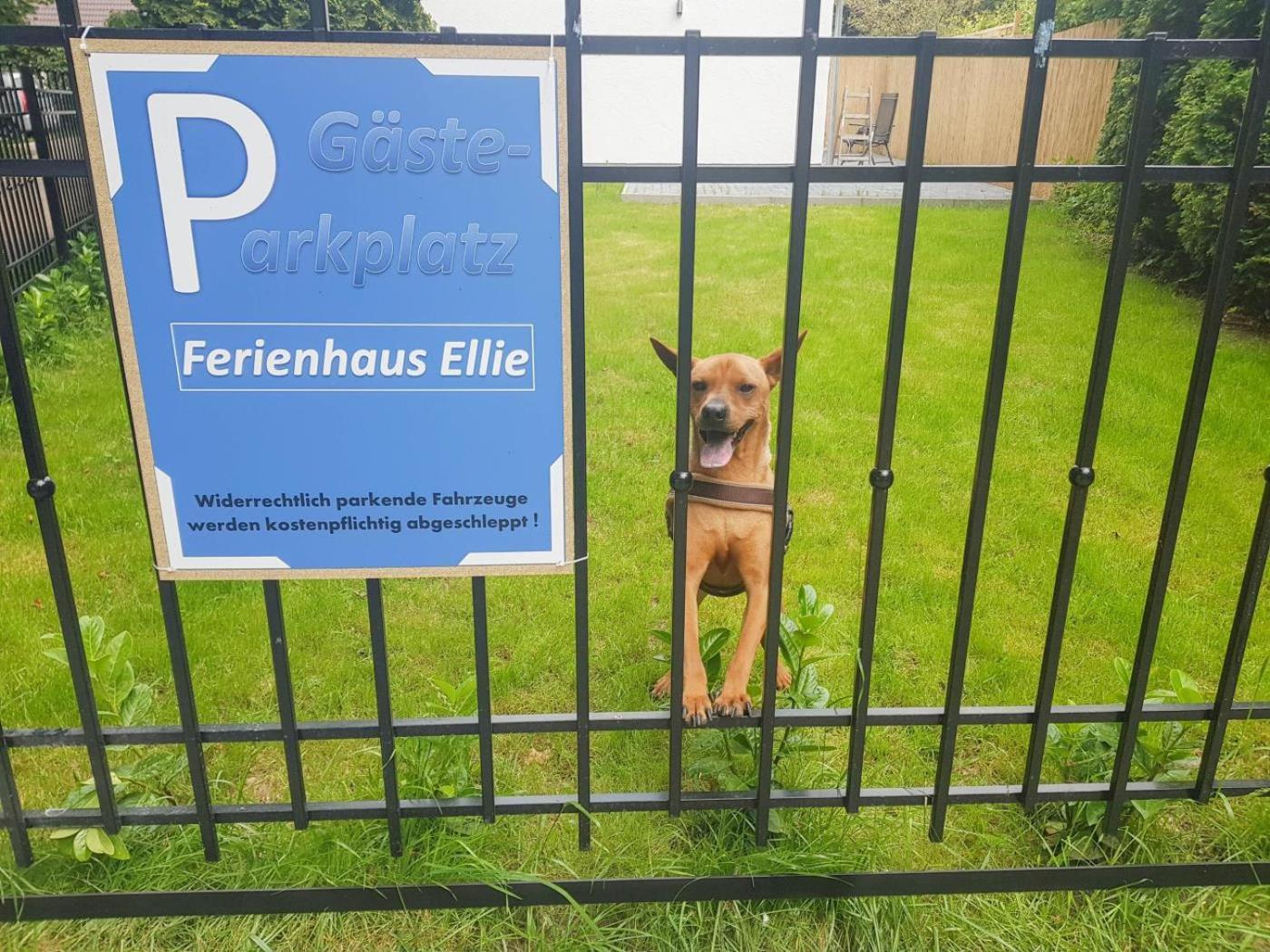 Ferienhaus Ellie 하프크루그 외부 사진